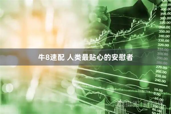 牛8速配 人类最贴心的安慰者