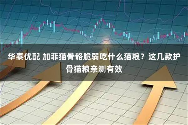 华泰优配 加菲猫骨骼脆弱吃什么猫粮？这几款护骨猫粮亲测有效