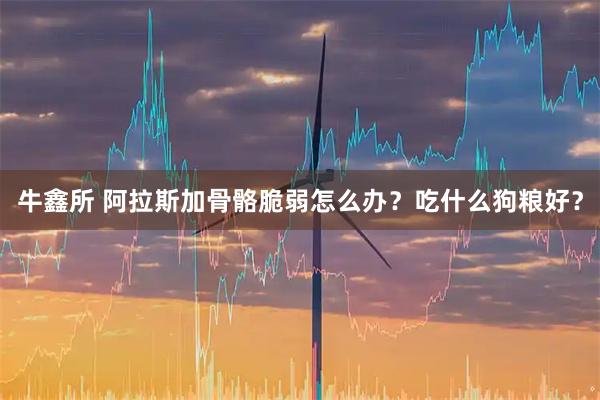 牛鑫所 阿拉斯加骨骼脆弱怎么办？吃什么狗粮好？