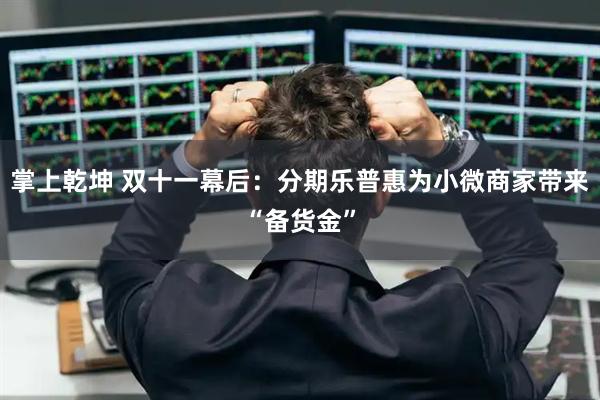 掌上乾坤 双十一幕后：分期乐普惠为小微商家带来“备货金”
