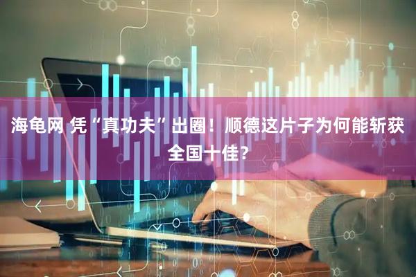 海龟网 凭“真功夫”出圈！顺德这片子为何能斩获全国十佳？