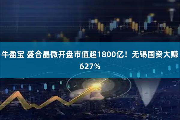 牛盈宝 盛合晶微开盘市值超1800亿！无锡国资大赚627%