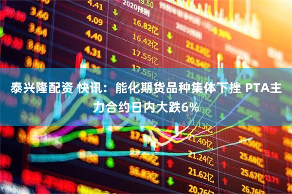泰兴隆配资 快讯：能化期货品种集体下挫 PTA主力合约日内大跌6%