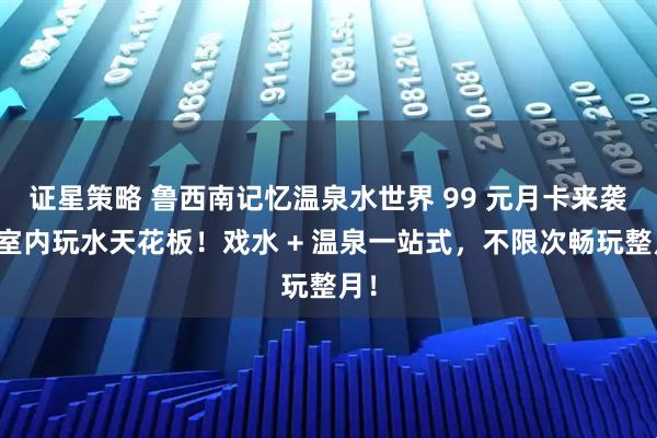 证星策略 鲁西南记忆温泉水世界 99 元月卡来袭！室内玩水天花板！戏水 + 温泉一站式，不限次畅玩整月！